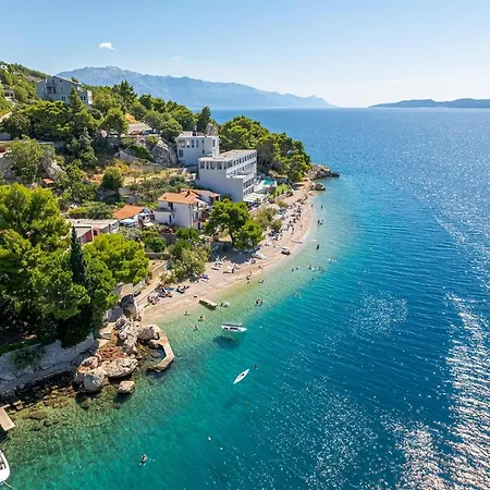 Dalmatiavibe * Čelina